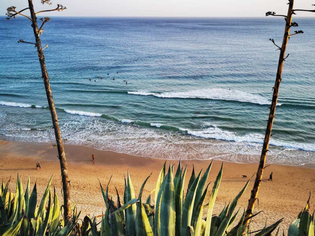 Widok na surferów plaża Praia de Porto de Mós w Lagos Algarve