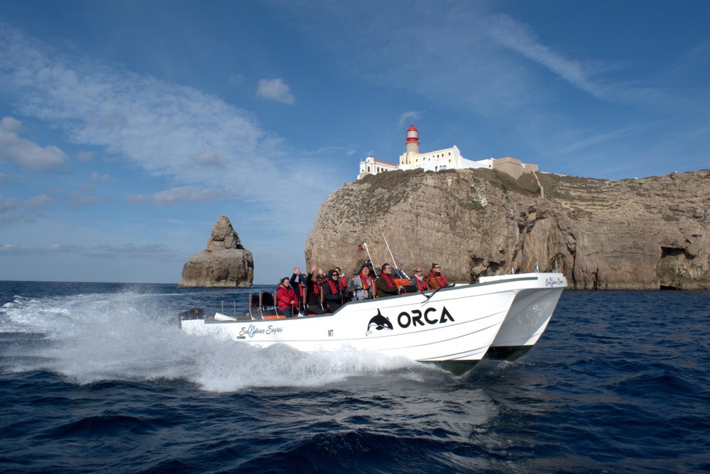 Obserwacja delfinów w Sagres wycieczka łodzią Algarve Portugalia