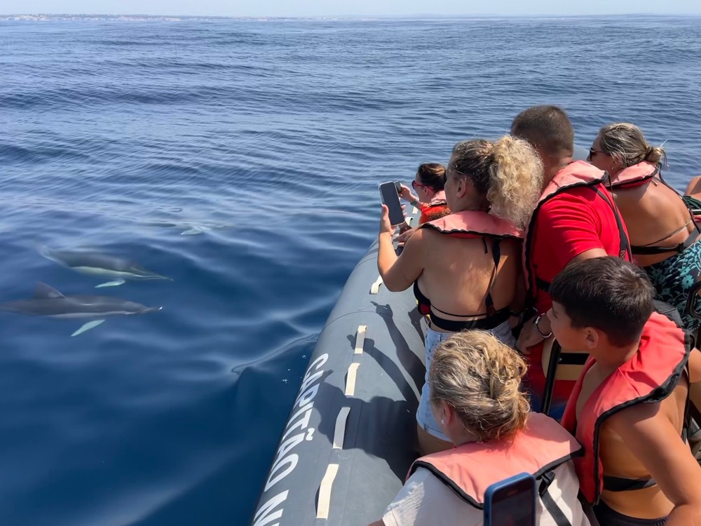 Wycieczka łodzią z obserwacją delfinów w Portimao Algarve Portugalii