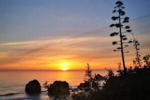 Read more about the article Algarve w pigułce